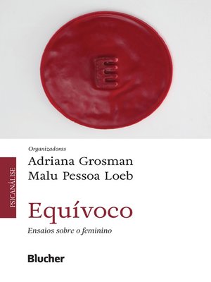 cover image of Equívoco